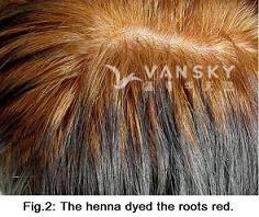 240515100003_Hair-Dying with henna-s.jpg